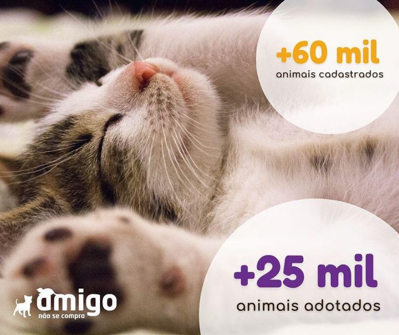 Mais de 25 mil animais adotados!!